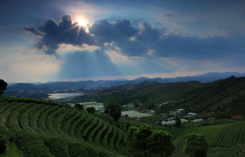 上海對口幫扶助推當?shù)亟洕l(fā)展 云南普洱市來滬參加上海旅游節(jié)2.jpg