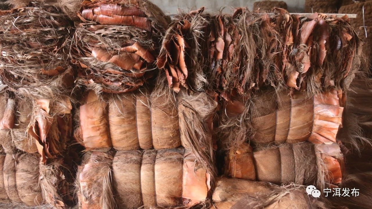 1586230420794445.png image.png