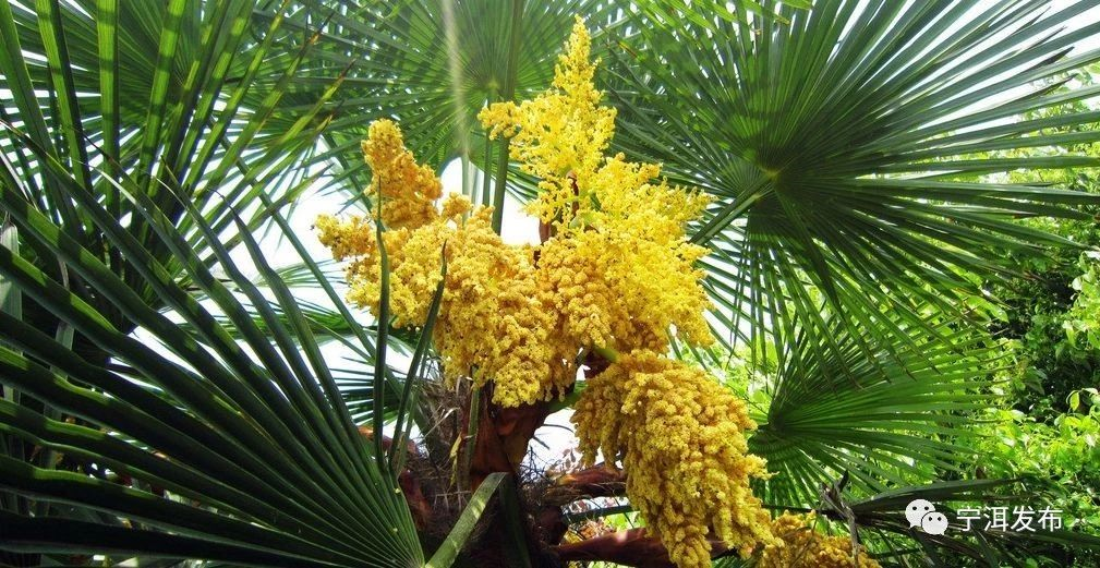 1586230441334018.png image.png