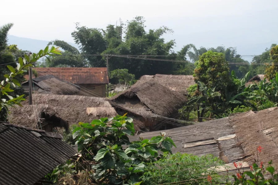 1619341817547709.jpg 640.webp (1).jpg